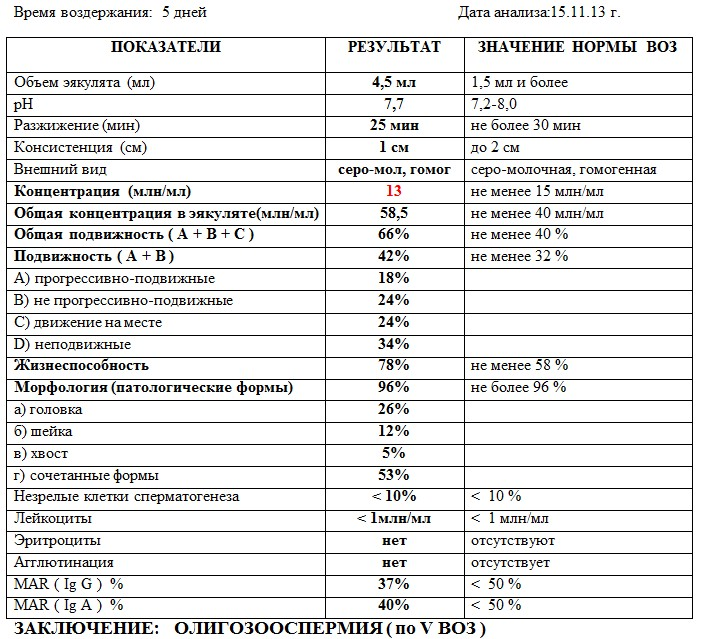 Спермограмма при азооспермии фото