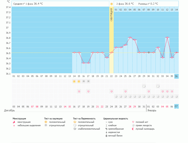 Девочки, что делать с таким забором??