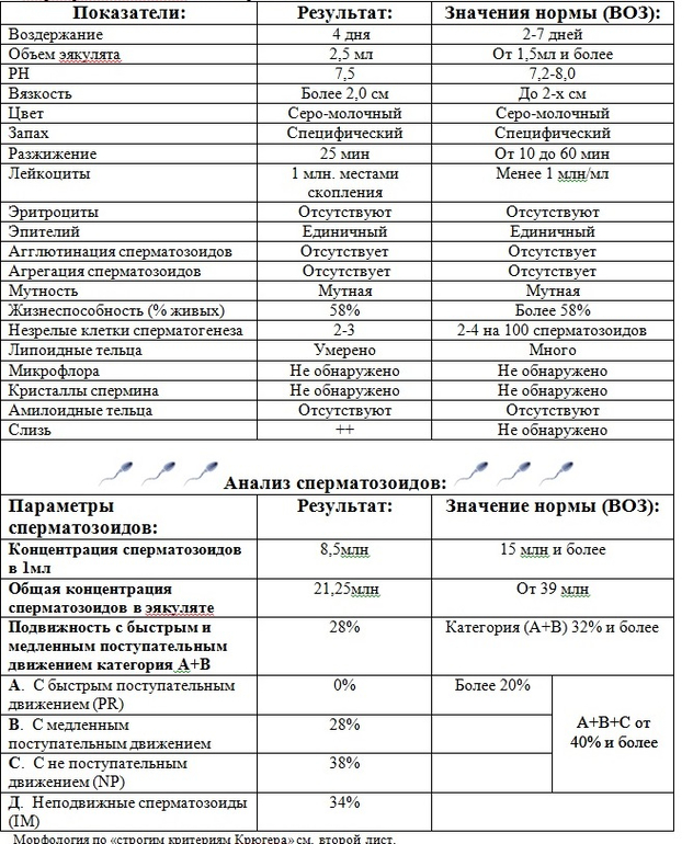 Спермограмма по крюгеру