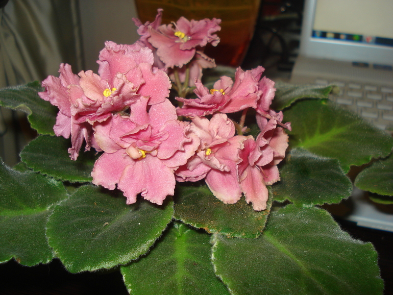 Как и обещала))