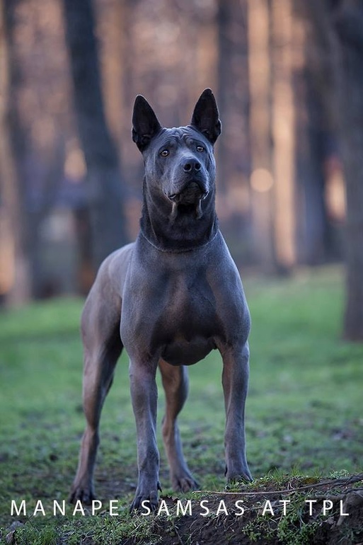 6f5ae3ad7e7760293cb16ac2bdd21df6.jpg