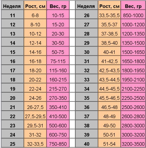 2e12de196f5dc419a40e1b23dcc7e346.jpg