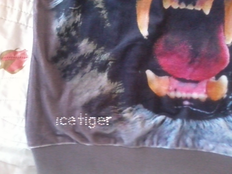 f0e92a46e0a449ca08fa2a50d9cbe7fa.jpg