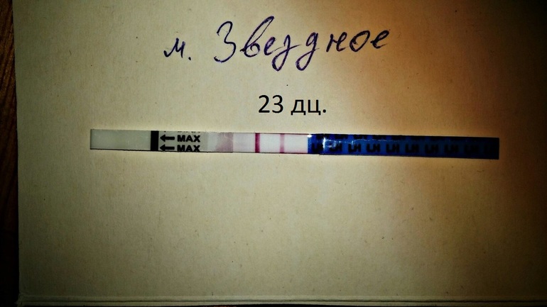 d215cb3ee8b7bc043bb40877e1540504.jpg