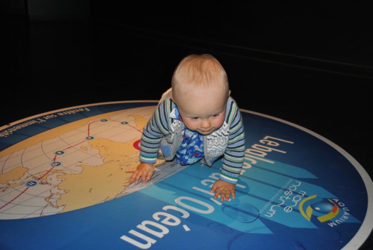 Аквариум в Монпелье!