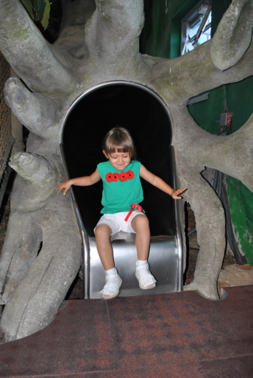 Аквариум в Монпелье!