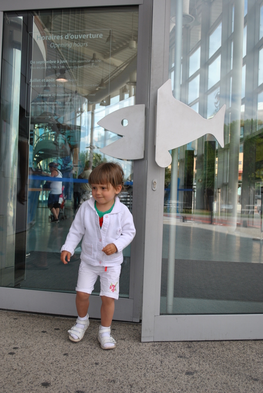 Аквариум в Монпелье!