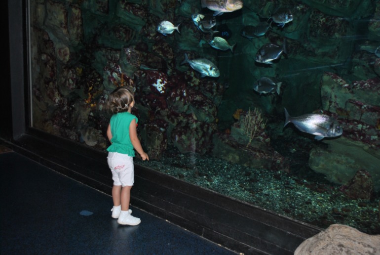Аквариум в Монпелье!