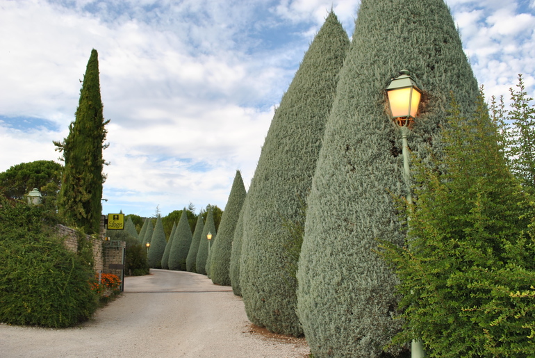 Франция: сердце Прованса! Горд, Руссийон и Вердонский каньон