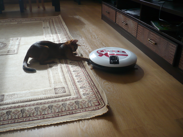 Тимофей Александрович :)