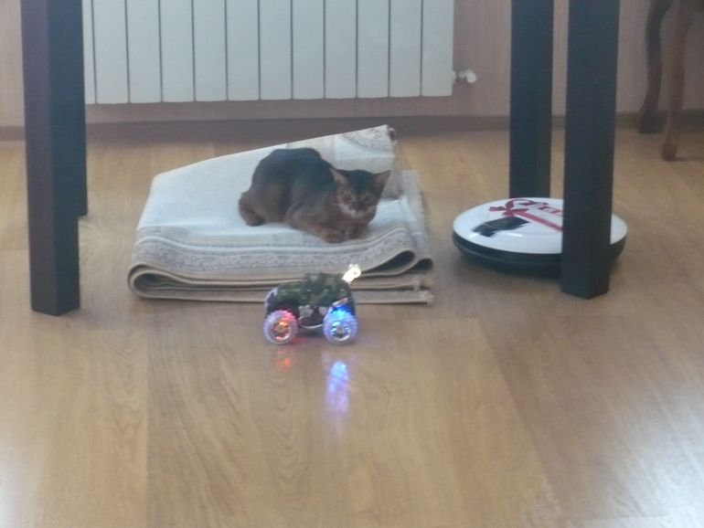 Тимофей Александрович :)