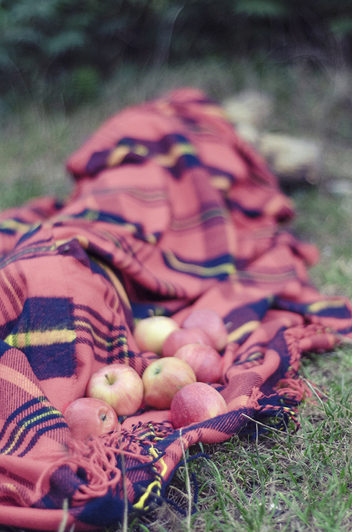 Катюшка, продолжение!