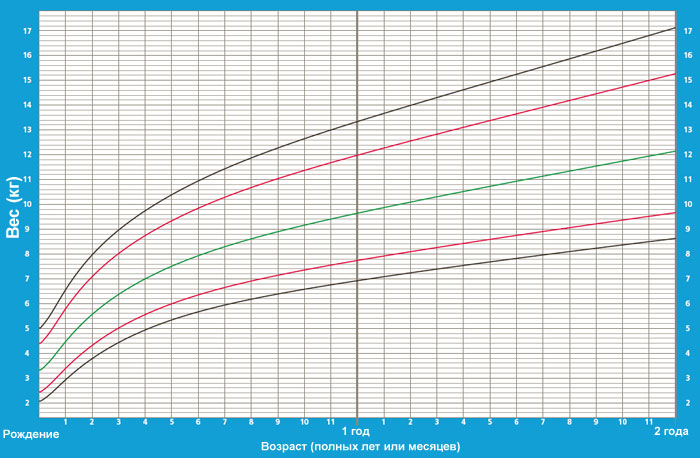 392c6861a6d111adb951b1cb87bc7cec.jpg