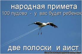 30872825f68567bea061e97b027bf099.jpg