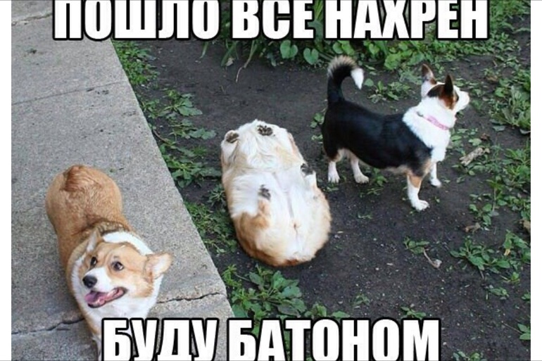 b46d5be429fab3df6e25733b1cf47487.jpg