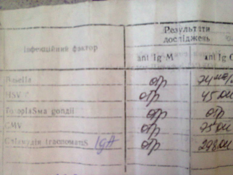 5e64486eb188ddf083fb95033d316414.jpg
