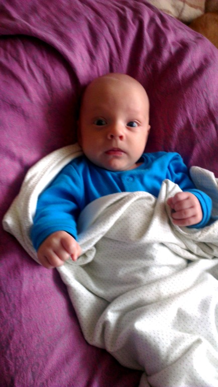 Продаю и плачу(( СШ Ellevill Paisley Silver-Pink 4,7