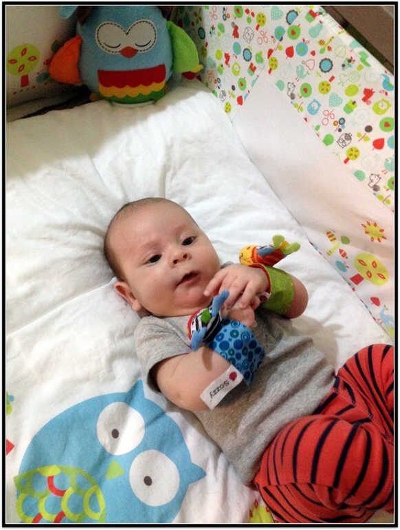 a6cd86d41bd8f30101934aa8876ac21b.jpg
