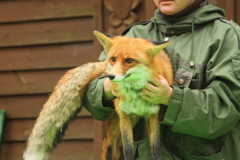 ЭПЦ «Царская пасека»