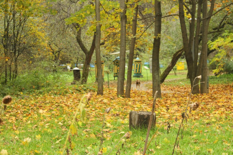 ЭПЦ «Царская пасека»