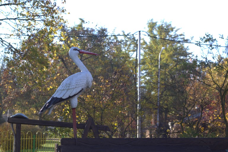 Девочки, это вам))))