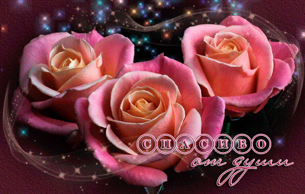 631841ce8a65959b7bf3e1490ad44913.gif
