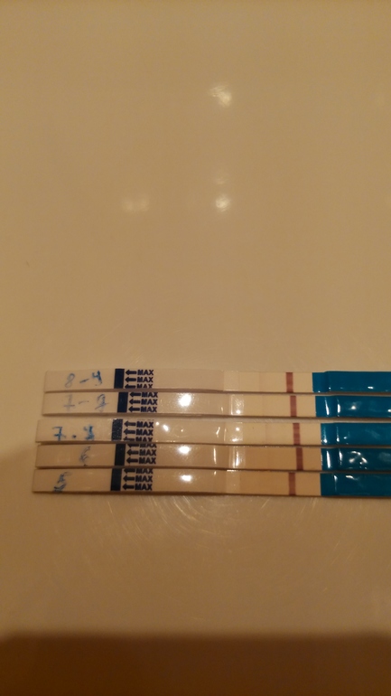 04ef4fdcf5d6aaccf415e78ed265a9c1.jpg