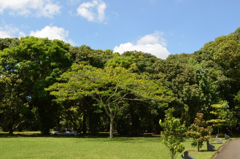 о. Маврикий, отель Constance Belle Mare Plage 5*