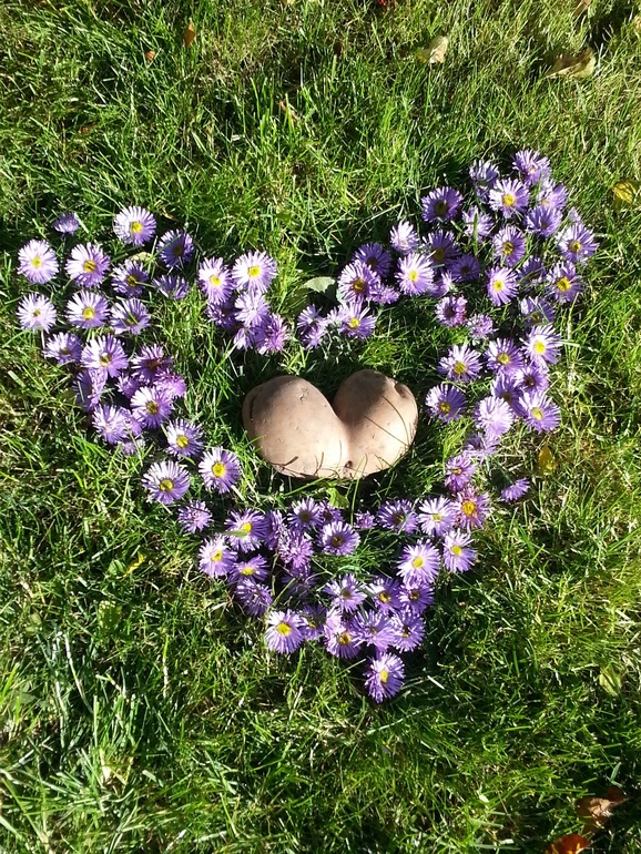 Выбираем победителя осеннего фотоконкурса!