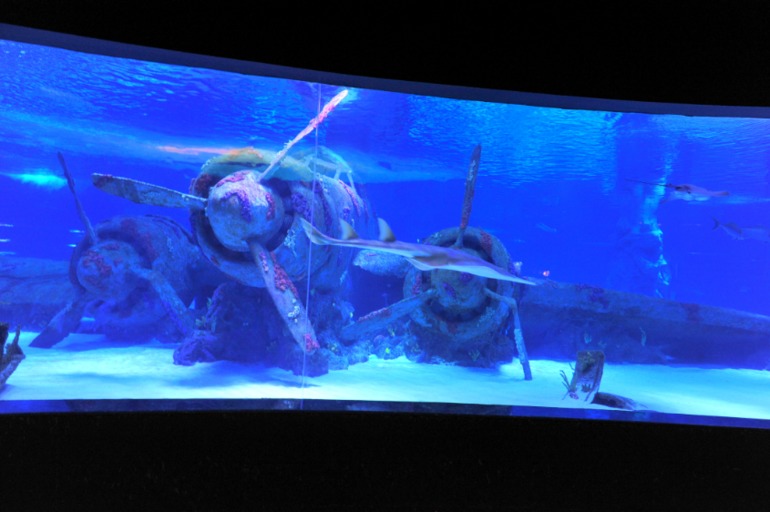 Отдых в Турции. Риксос Сангейт