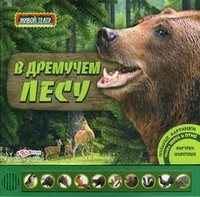 Супер-предложение от Май-шоп