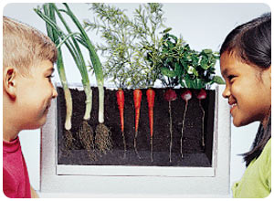 Идеи  для детских подарков