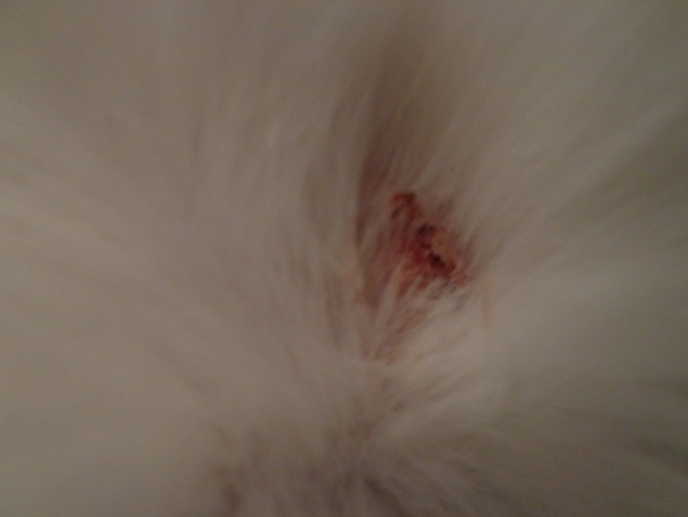 Девочки помогите советом, может у кого такое было???