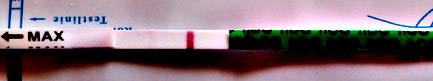 81e0cc3be66b57aef65e5219992542d4.jpg