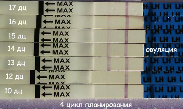 dfe3bb604449217a789be8f7e10096e2.jpg