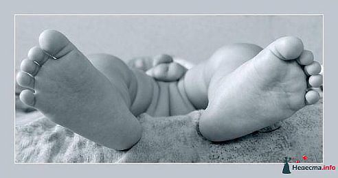 Улыбнуло )))))