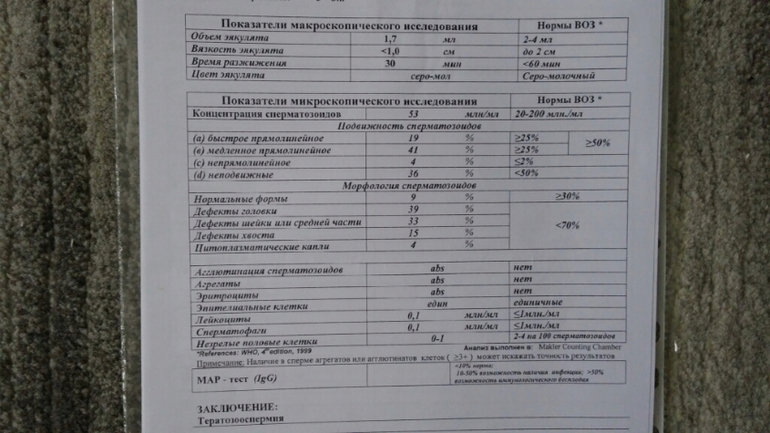 Тератозооспермия схема лечения