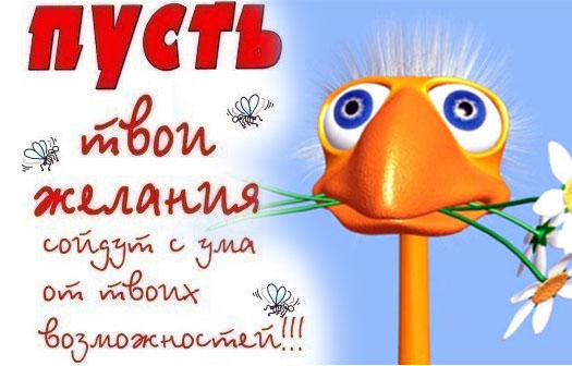 98abc4ed18614bb0947785a70d216213.jpg