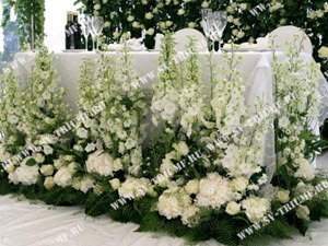 Организация Свадьбы