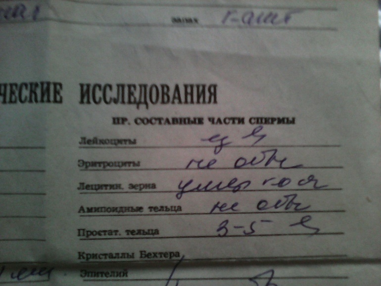 288f6ac6ec5a508ed3bf7d00650f4020.jpg