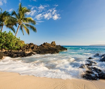 Оранжевое настроение.