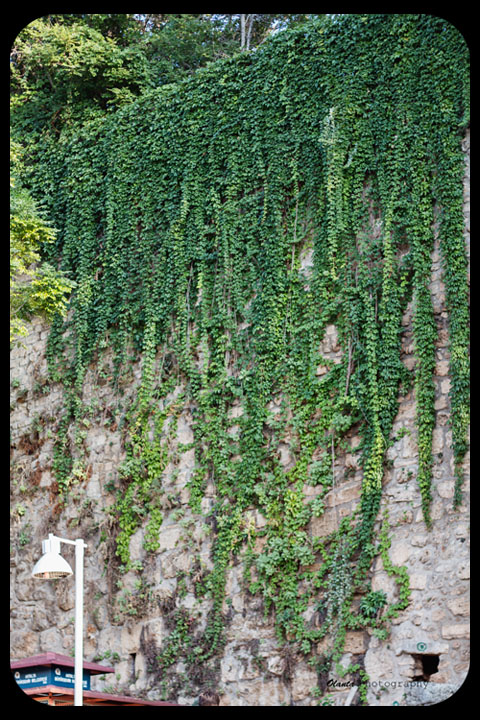 Прогулка по старому городу . Анталья