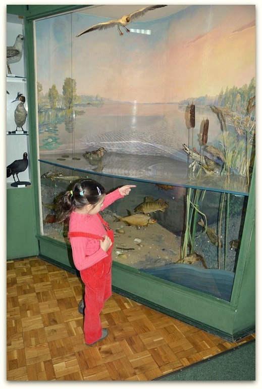 Мартышки и нога мамонта.