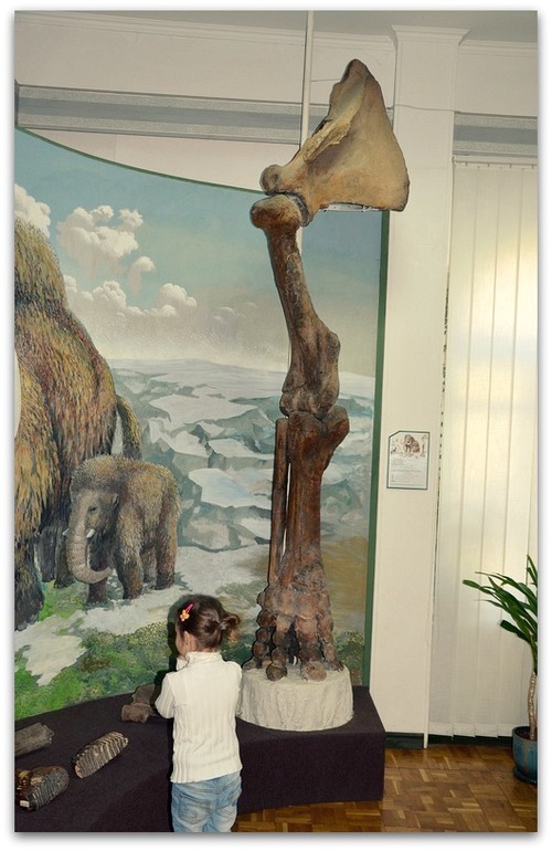 Мартышки и нога мамонта.