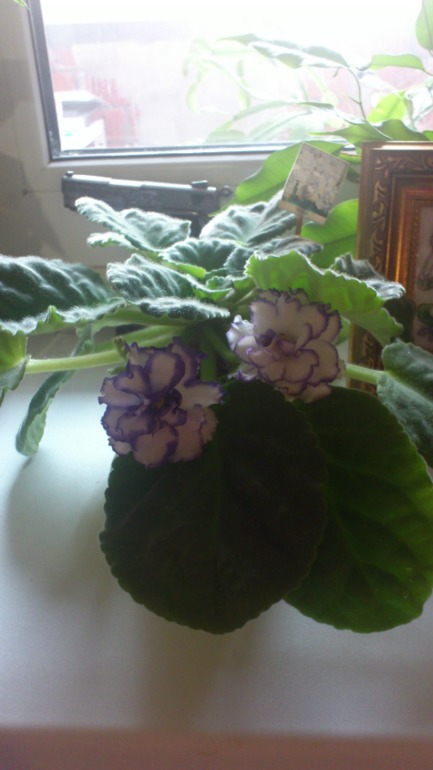 Ну и я похвастаюсь))