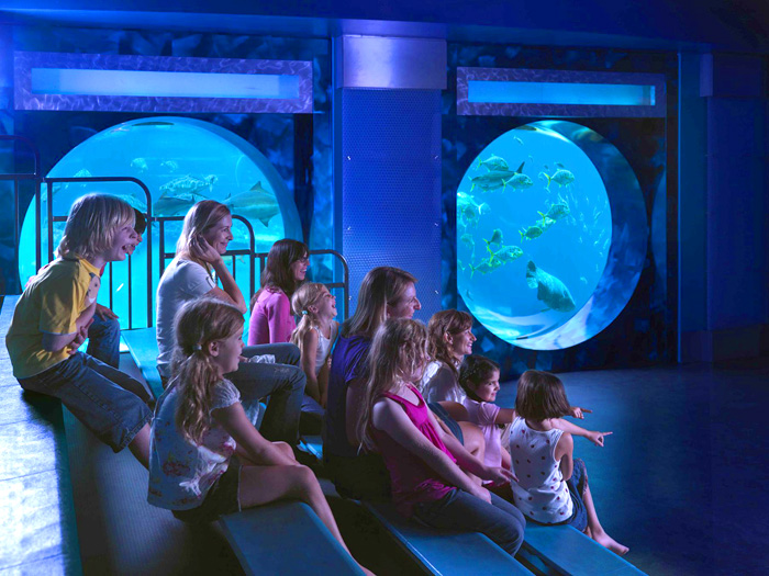 Где отдохнуть с  детьми на школьных каникулах?