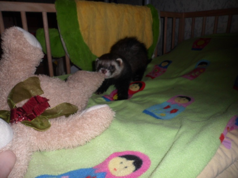 Наши малыши.