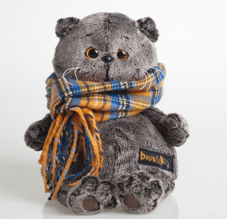 Знаменитый кот БАСИК