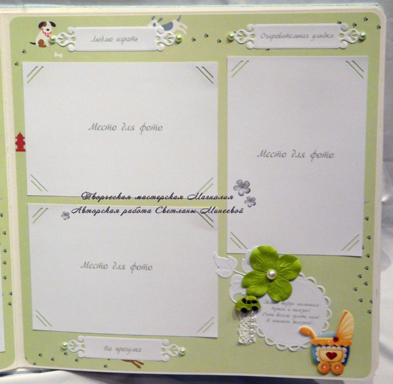 Большой фотоальбом для Матвея и папка для документов