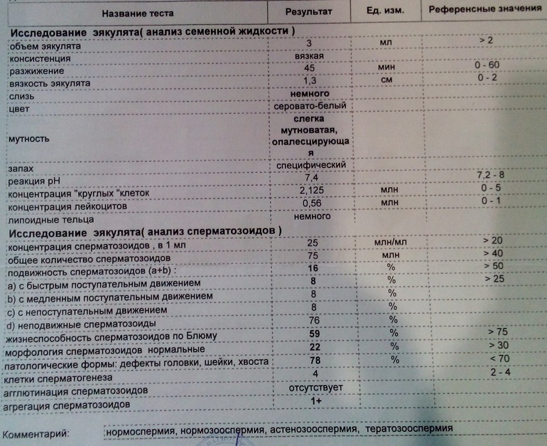 Нормоспермия. Спермограмма нормозооспермия. Нормозооспермия показатели спермограммы. Агглютинация сперматозоидов спермограмма. Заключение спермограмма нормоспермия.